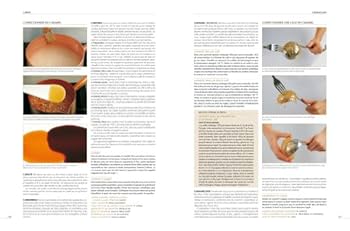 le grand larousse gastronomique フランス料理 LE Grand LAROUSSE GASTRONOMIQUE (フランス)